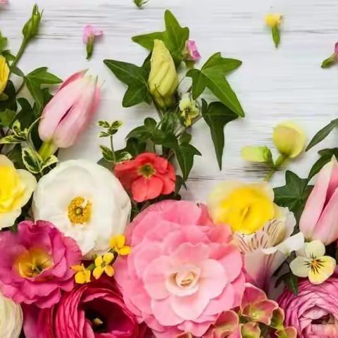 “有备而来，满载而归”——光禄中心校英语组集体备课