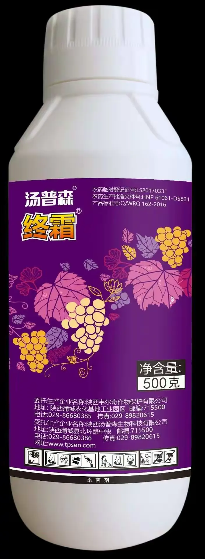 陕西汤普森公司优质葡萄产品推荐