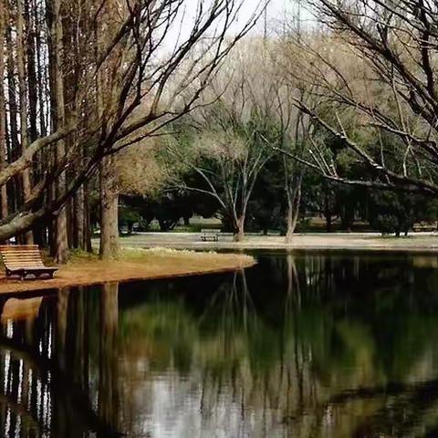 岁末，如诗般宁静