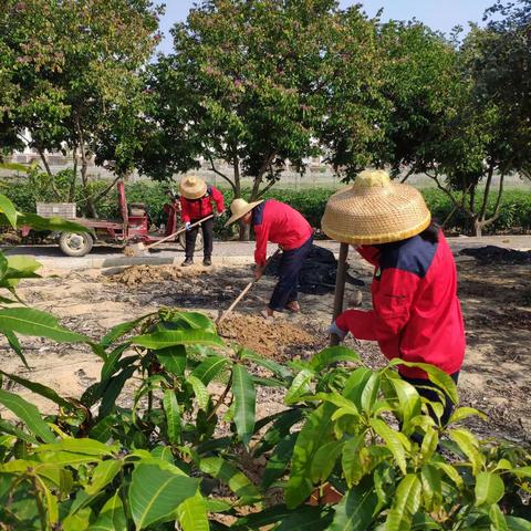 市热科院崖州基地开展3月12日植树活动