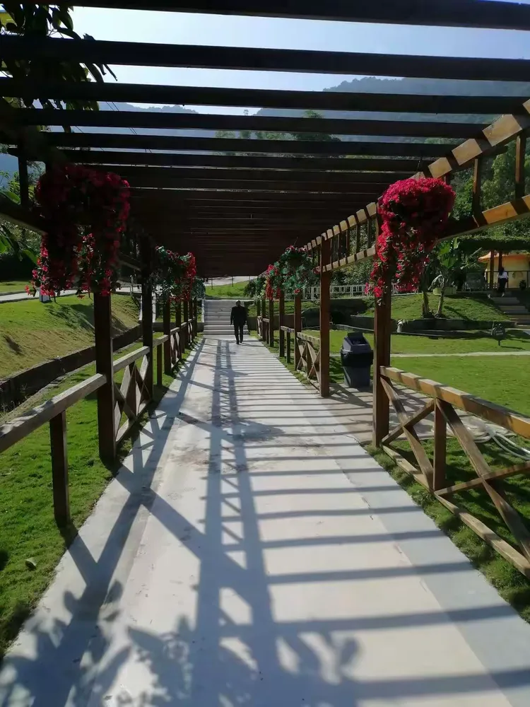 泉林山庄玻璃桥