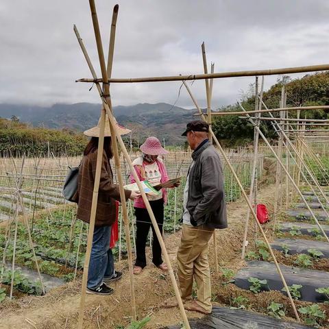 五指山市农技中心开展测土配方施肥技术培训