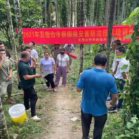 五指山市农技中心技术人员到南圣镇展开农业实用技术培训与资料发放