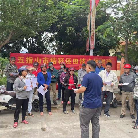 五指山市农技中心在全市范围内推广秸秆还田腐熟技术