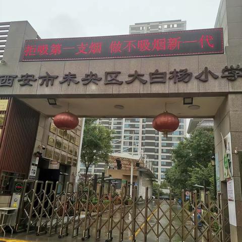 大白杨小学捐书