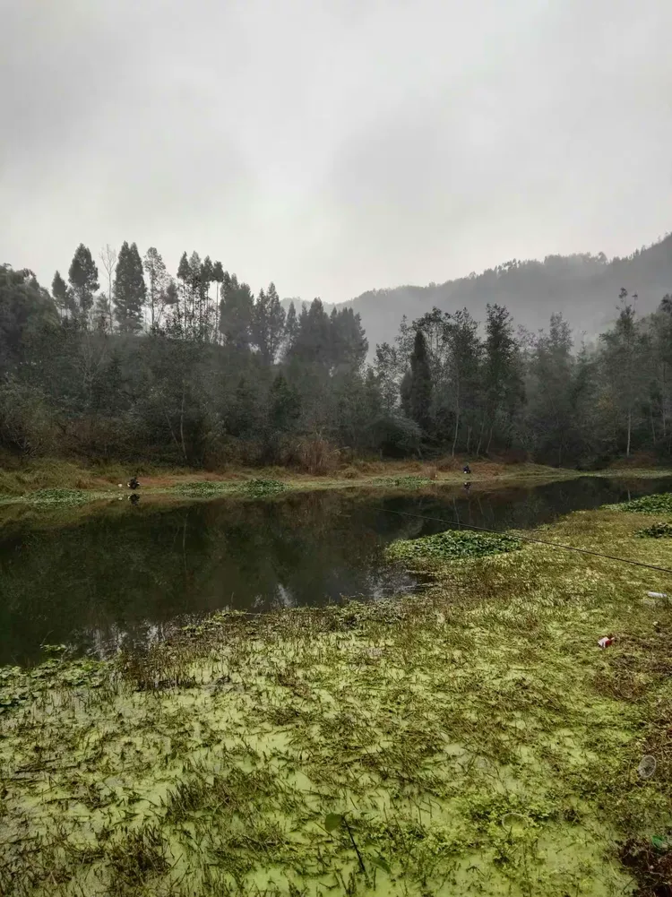再钓平昌蒙溪河