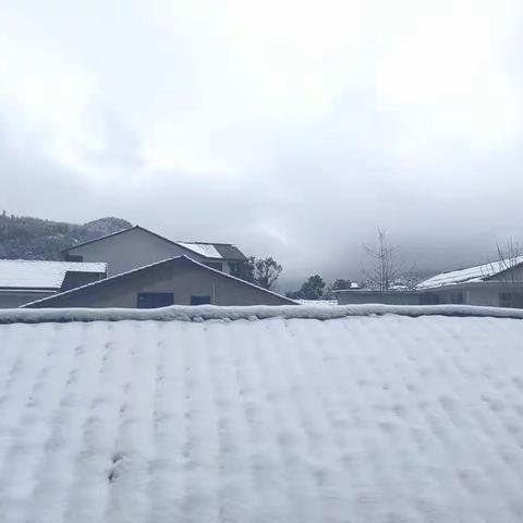 我的寒假生活      102班周媛媛