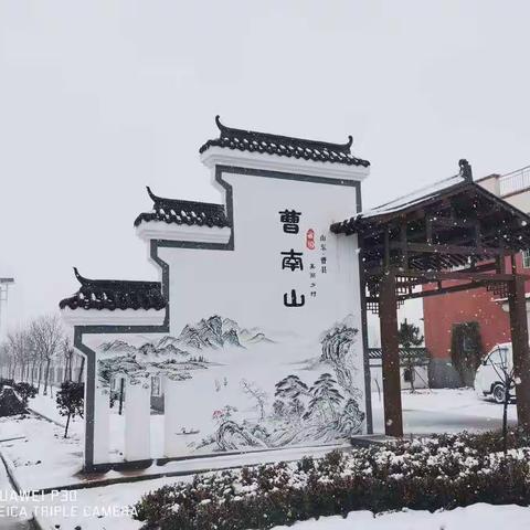 雪中青岗，风景独好