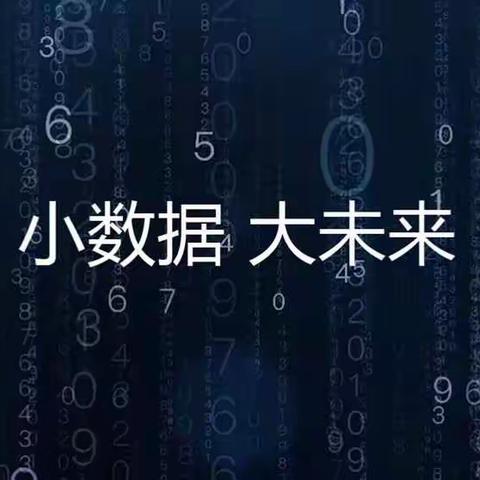 7mall小数据大未来