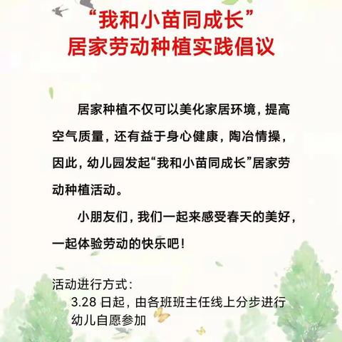 “小小种子，大大能量”——教育路小区幼儿园大四班种植活动