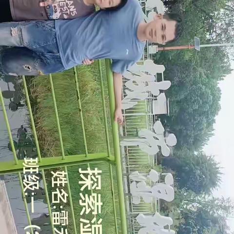 探索湿地公园