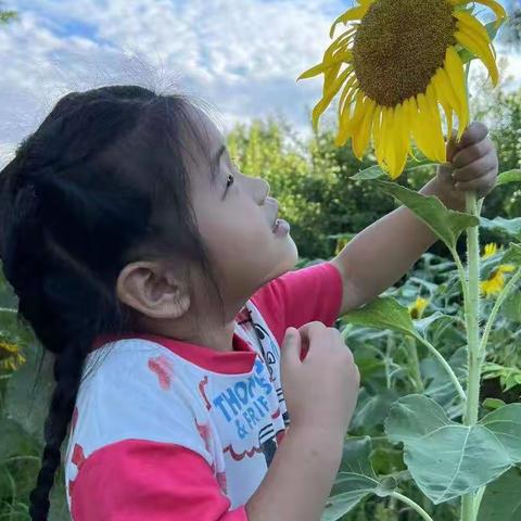 【涞水镇学区苗苗幼儿园】“好好生活♥慢慢相遇”——中四班