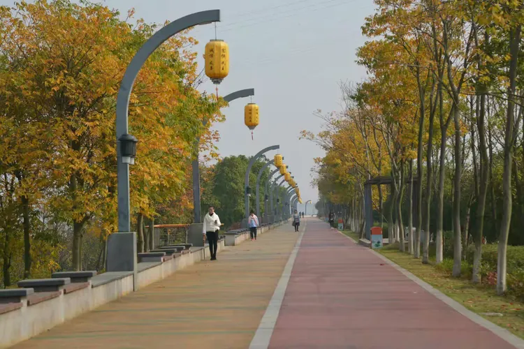 初冬秋更浓(易俗河沿江风光带)