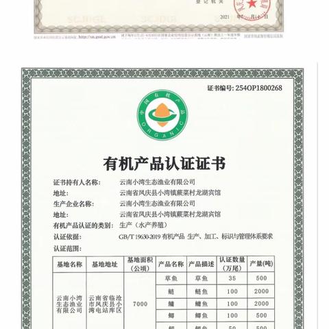 澜沧江江鱼保山直营店盛大开业——以鱼为礼，致敬您的健康！