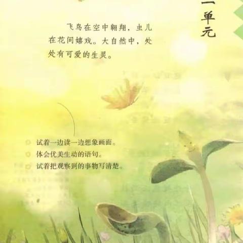 春色正好，学子兴浓——晓关小学301班第一单元学习成果汇总展