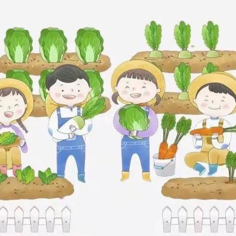 遇见美好🌈收获成长———红塔区万裕幼儿园中一班种植园