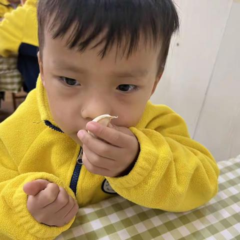 你说了“蒜”🧄——红塔区万裕幼儿园小二班种植园活动
