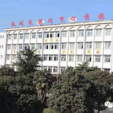 相聚云端战疫情，传递知识守初心——颍川中心学校线上教学风采展示