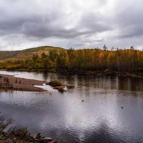 呼伦贝尔大草原