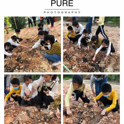 乐种菜 种菜乐一一平和县三径小学劳动基地实践活动剪影