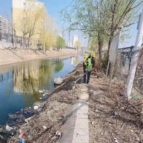 新开社区事务中心开展河渠环境卫生综合整治