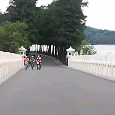 喜购折叠车    绿道练大行