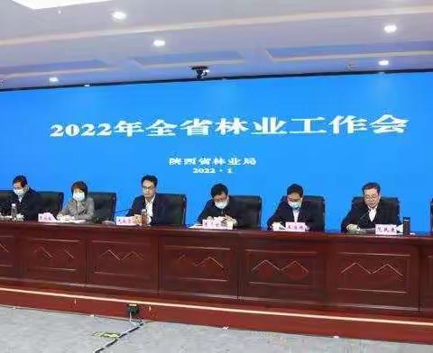 2022：阔步向深绿   擘画山清水秀之陕西