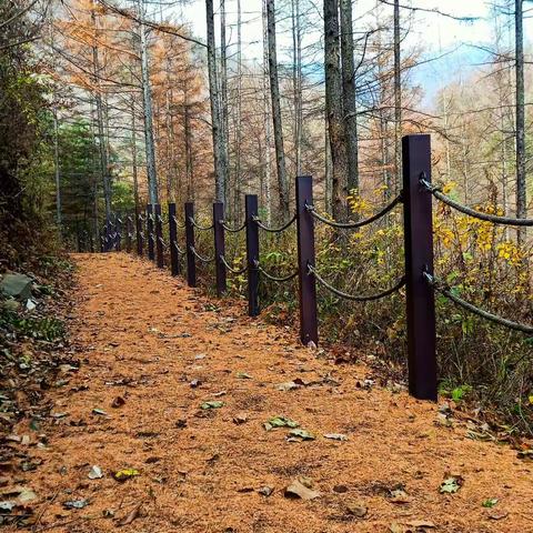 有梦不觉人生寒