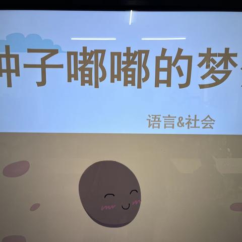 黔江睿思幼儿园中二班科学课程-《种子种植记》