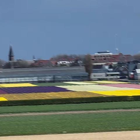 匆匆打卡欧洲自驾行（2），荷兰之阿姆斯特丹，海牙和鹿特丹。