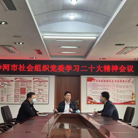 沙河市社会组织党委在全市开展学习党的二十大精神系列活动