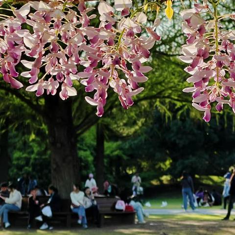 春潮涌动，谷雨正当时
