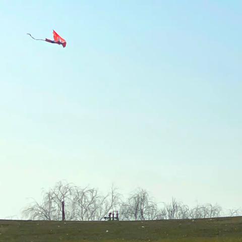 和春天一起出发