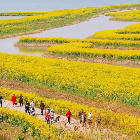 春天，已走过了一半