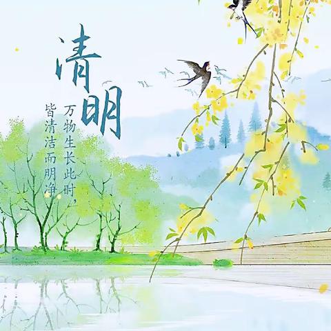 花开花落，又到一年清明时