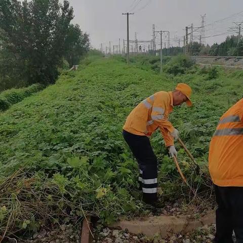 聊城北站积极开展现场作业环境整治活动