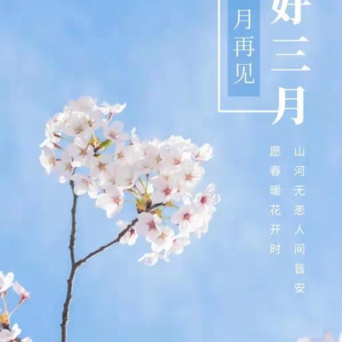 三监项目3月周报