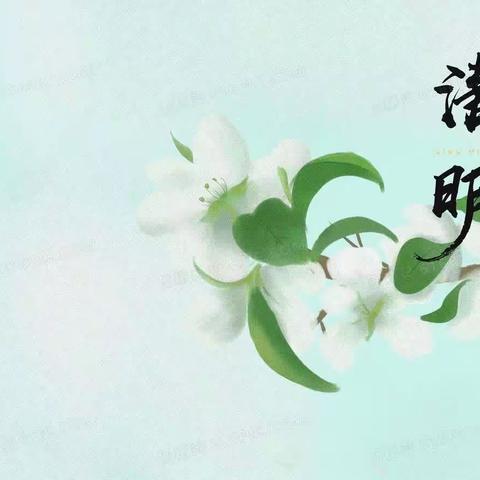 清明节——影城幼儿园小三班清明节活动