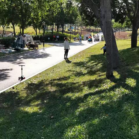 2023.11.12湿地公园