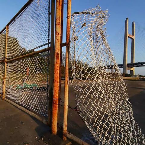 野草摄影沙龙杜航渡口外拍