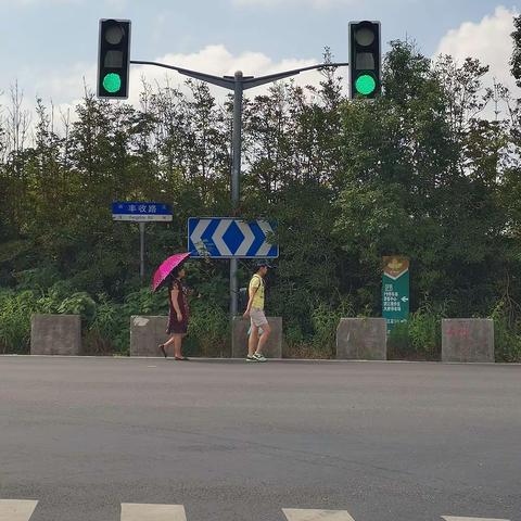 跟着单老师走遍上海村镇