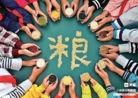 小榄蟠龙幼儿园第八周国旗下讲话——珍惜粮食从我做起