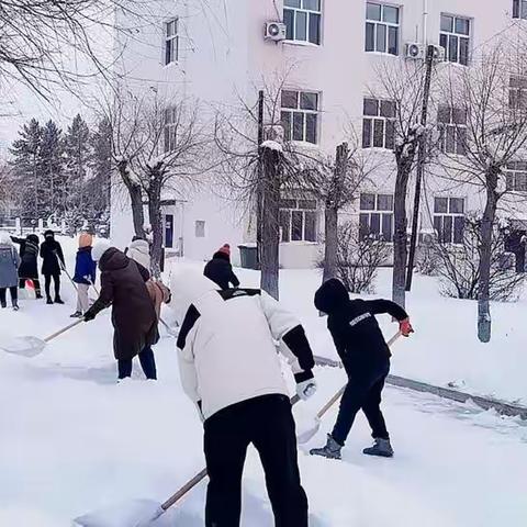 ＂以雪为令，雪停路净＂红干院总务科安全办清雪大行动