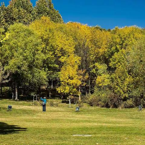 2022奥林匹克森林公园秋色（2）