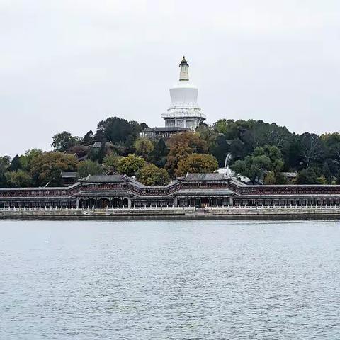 2022北海公园菊展（1）