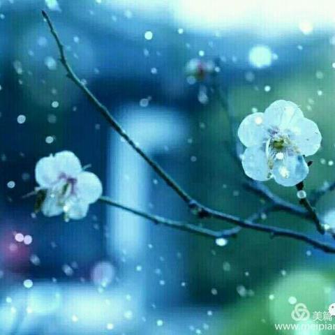 新学期从培训开始