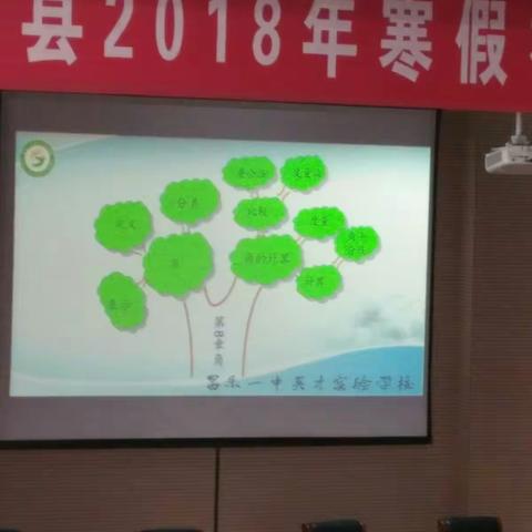 2018，做更好的绿叶