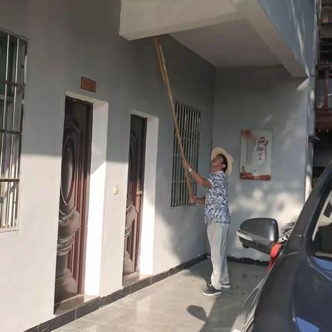 开展爱国卫生运动  建设文明新株良