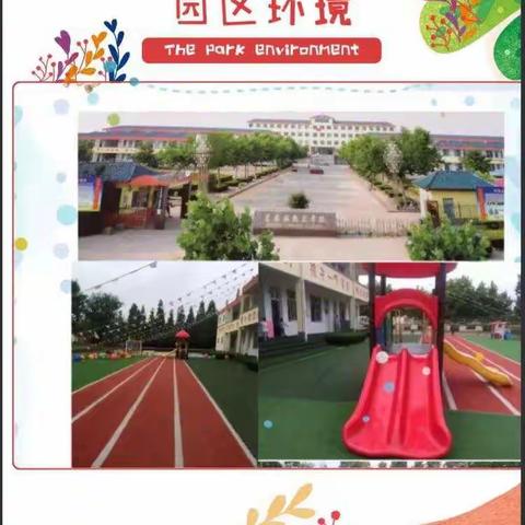 龙窝小学附属幼儿园2020年秋季招生开始啦🎉 🎉