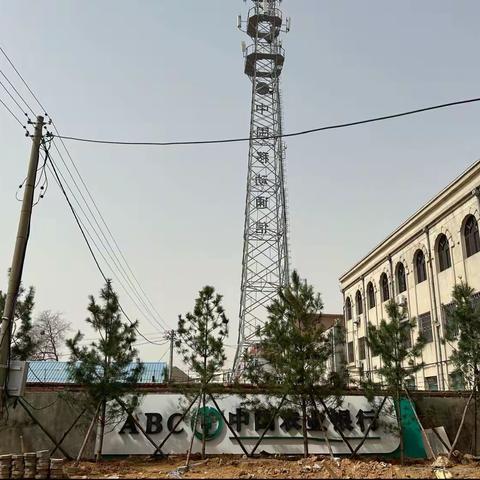 晓一叶之理，种一树美好，大郑绿化团建活动